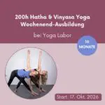 200 Stunden Hatha und Vinyasa Yoga Ausbildung Yogalabor