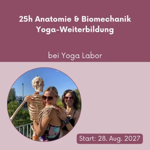 25h Weiterbildung Anatomie und Biomechanik bei Yoga Labor