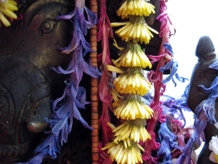Ganesha feiert Geburtstag