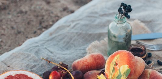 vegan obst picknick