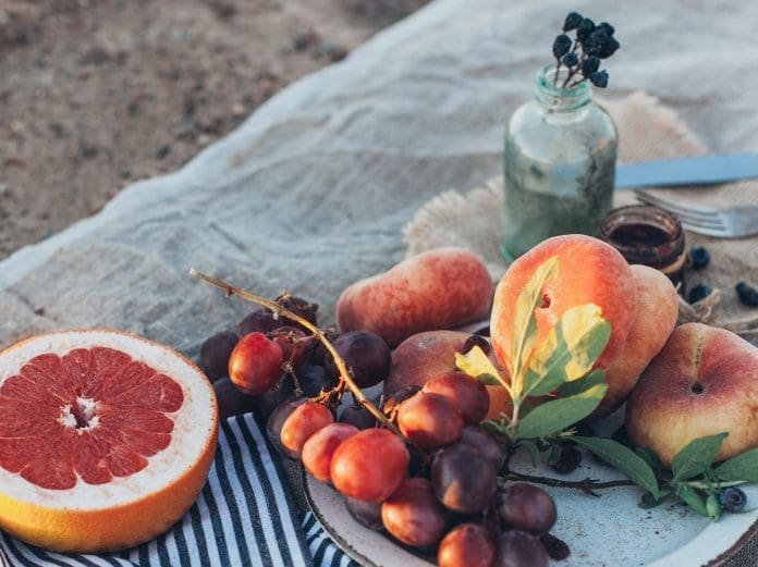 vegan obst picknick