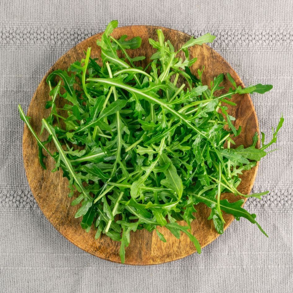 Rucola