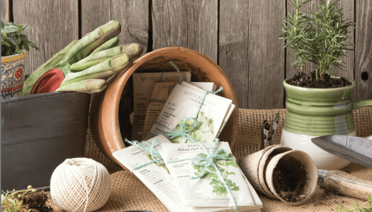 Frühling im Topf – so gelingen selbst gezogene Microgreens und Kräuter