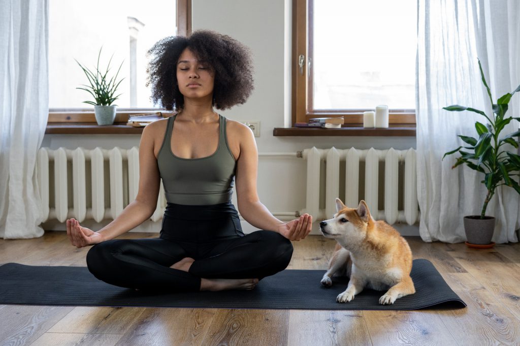 Cottonbro Pexels Meditation Dog