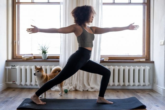 Alignment Yoga Stehhaltungen