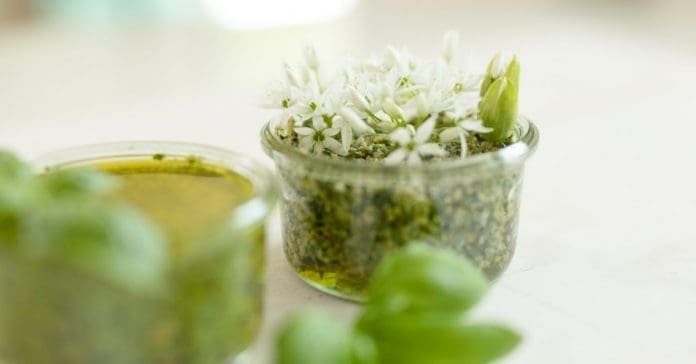 Giersch Pesto