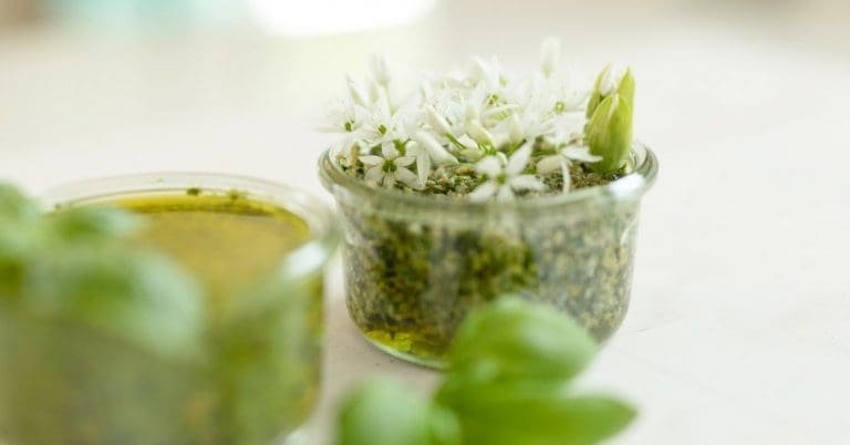 Giersch Pesto