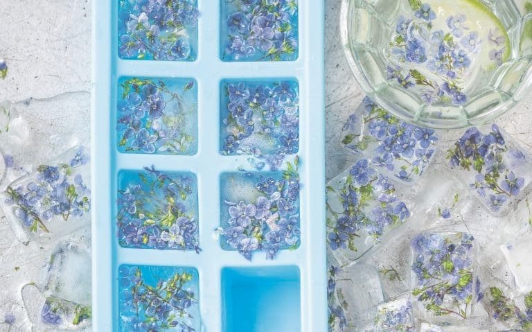 Blüten-Eiswürfel zum Sommeranfang