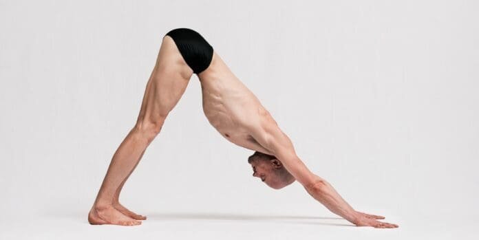 Dr. Ronald Steiner - herabschauender Hund