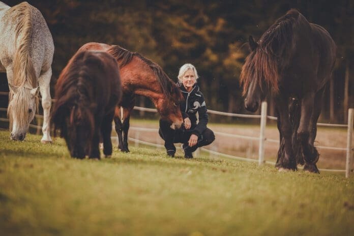 Chi Horsing Pferde Yoga