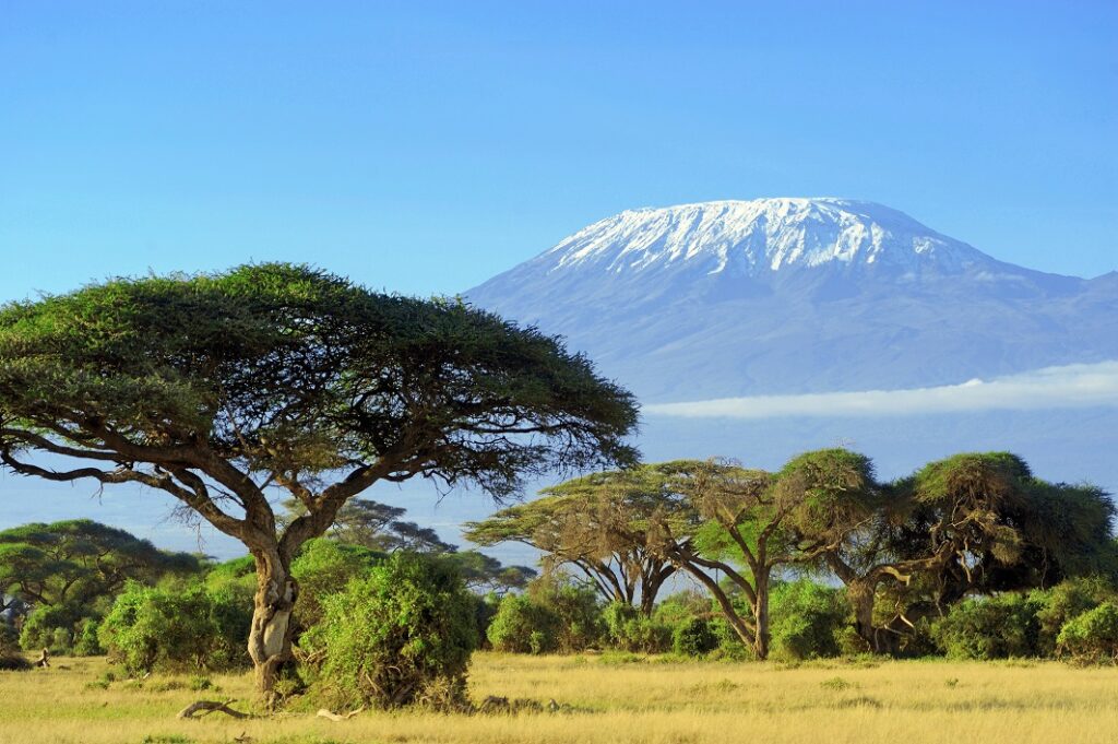 landscape of Mount Kilimanjaro Tanzania