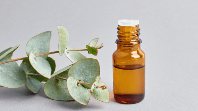 Ätherische Öle und Yoga