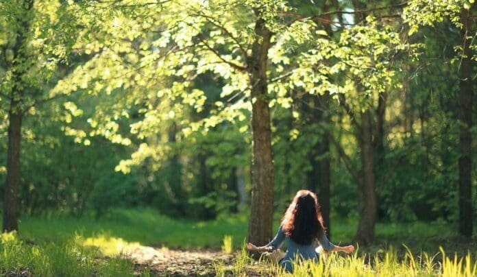 Yoga Detox im Frühling