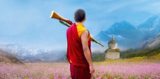 Kinoposter Was will der Lama mit dem Gewehr