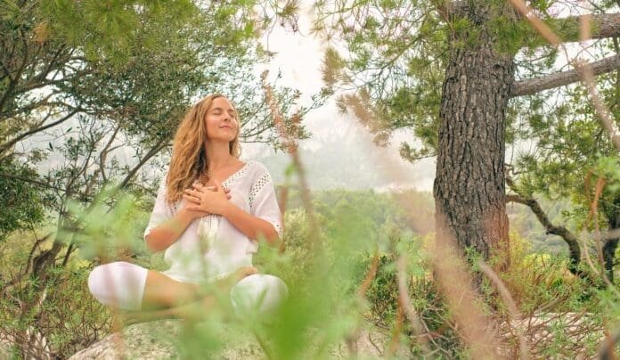 Pancha Mahabhuta, die 5 Elemente im Yoga