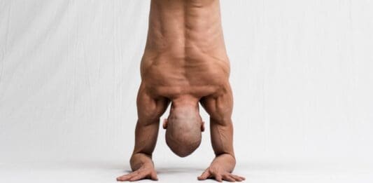 Pincha Mayurasana - Dr. Ronald Steiner