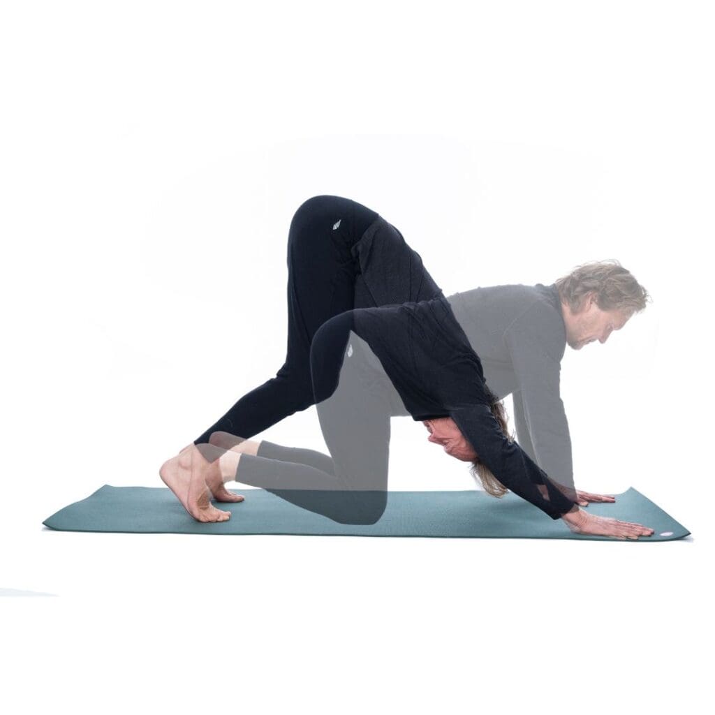 Patrick Broome, Übung 3 Dynamischer herabschauender Hund