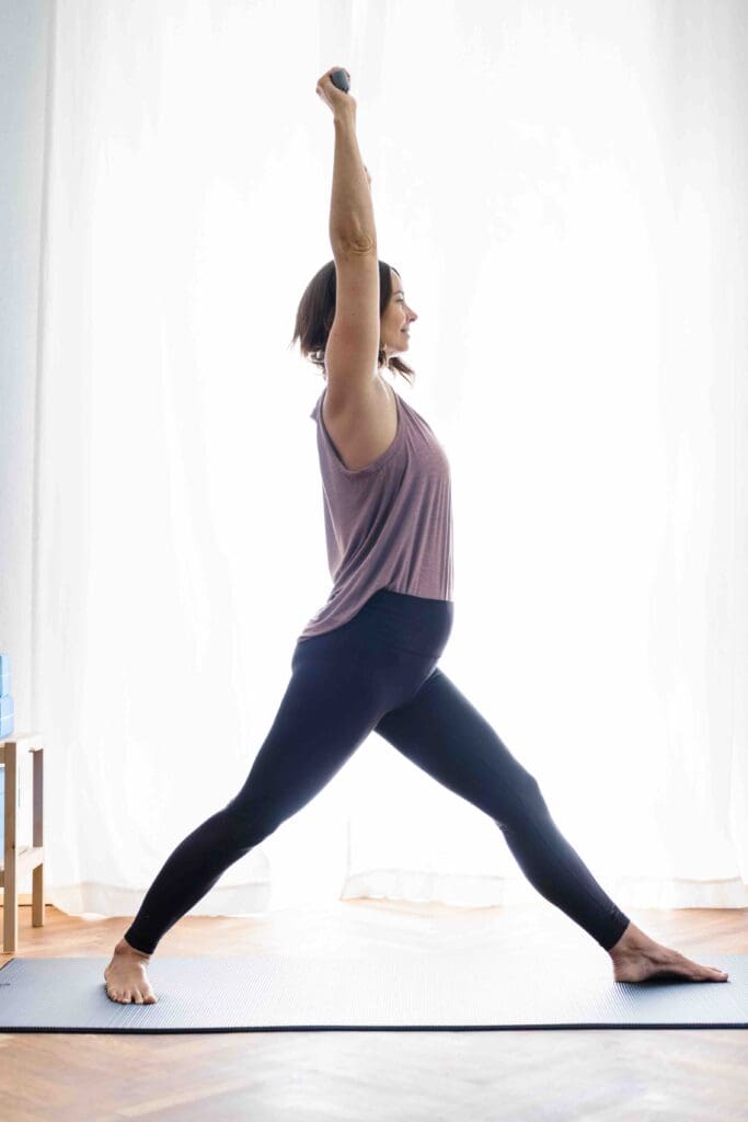 krieger schiebt elefanten