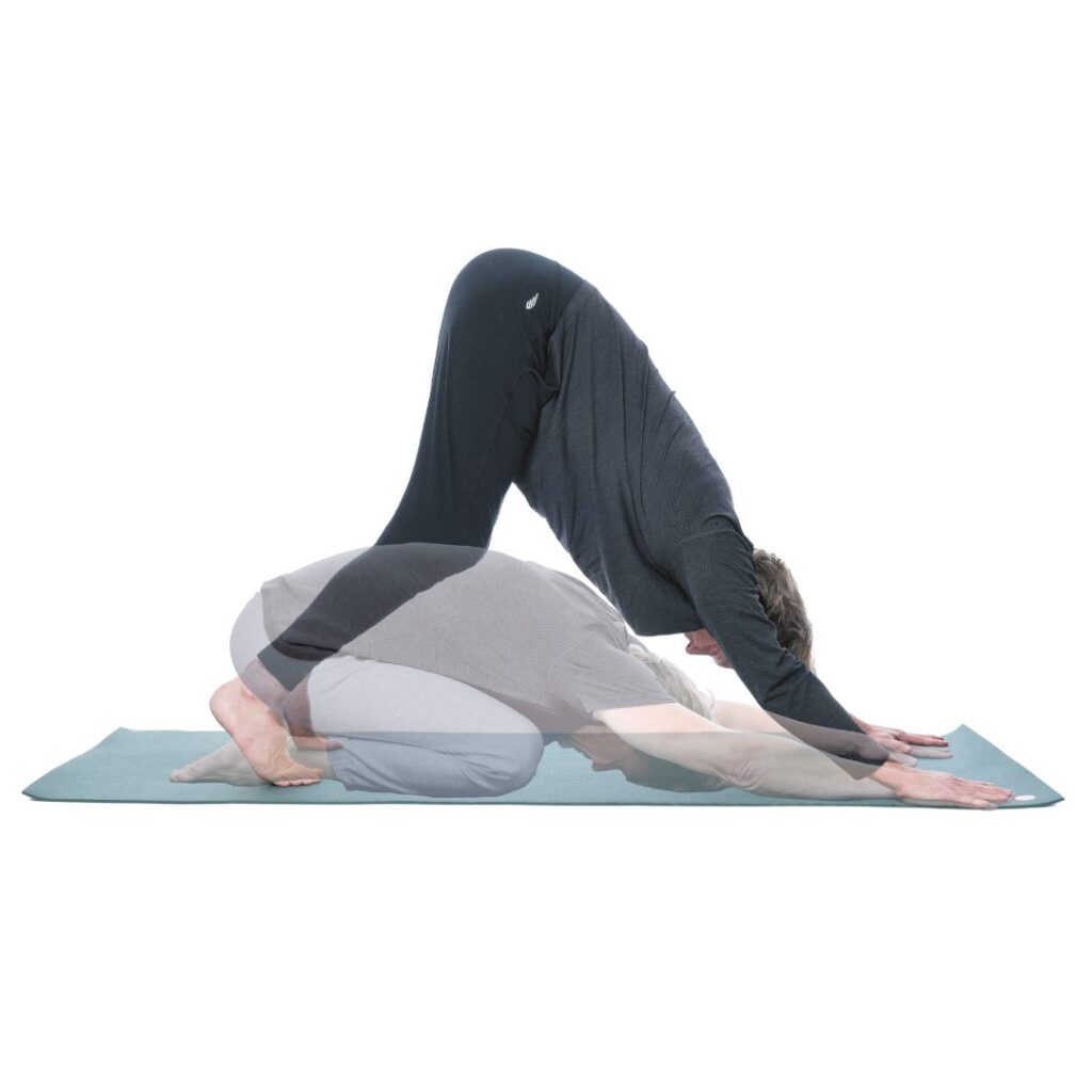 Patrick Broome, Übung 15 herabschauender Hund und Stellung des Kindes