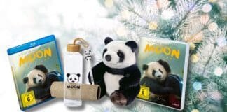 Adventskalender Moon Panda Fanpakete