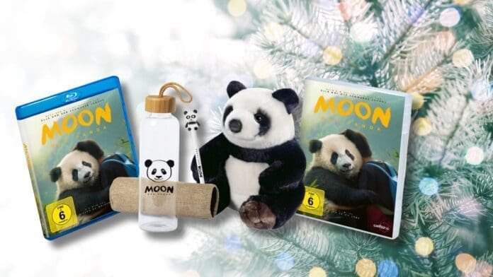 Adventskalender Moon Panda Fanpakete