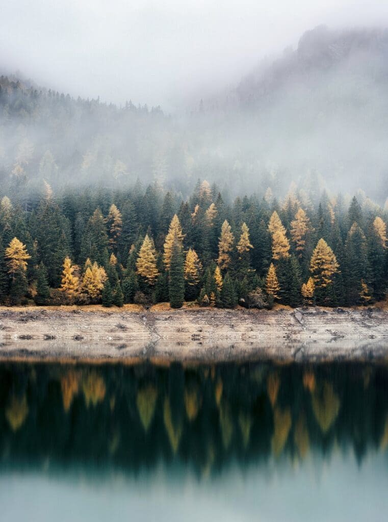 Herbstlicher Wald am See