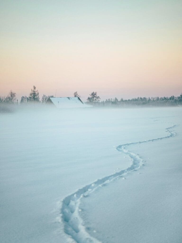 Pfad im Schnee Winterlandschaft