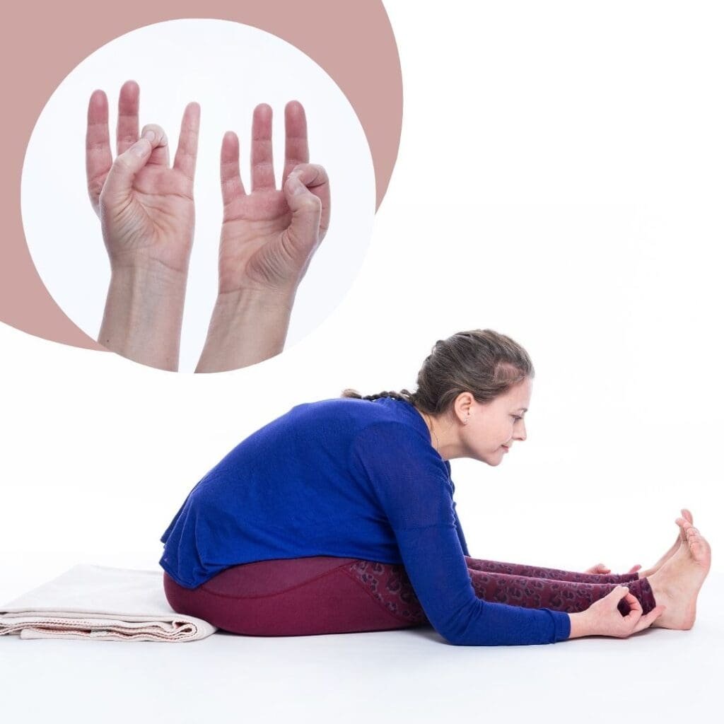 Susanne Mors, Asana & Mudra Sequenz, Pashchimottanasana mit Prithvi und Jnana Mudra