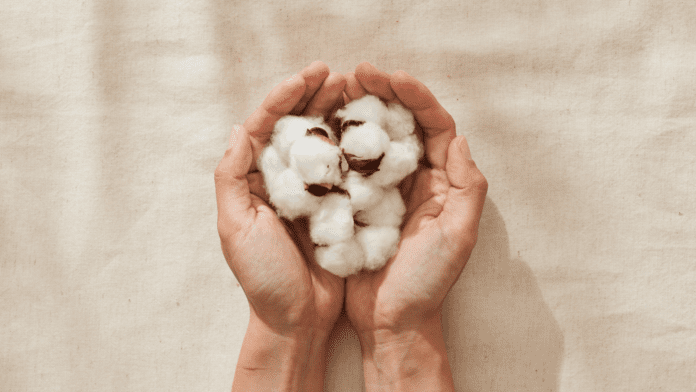 Periodenprodukte neu denken Periodenprodukte neu denken