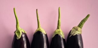 Aubergine