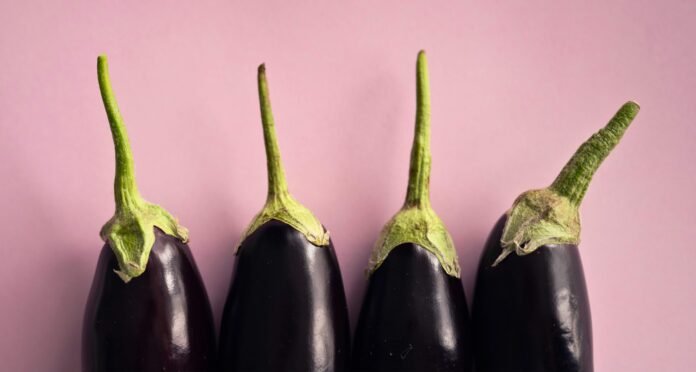 Aubergine