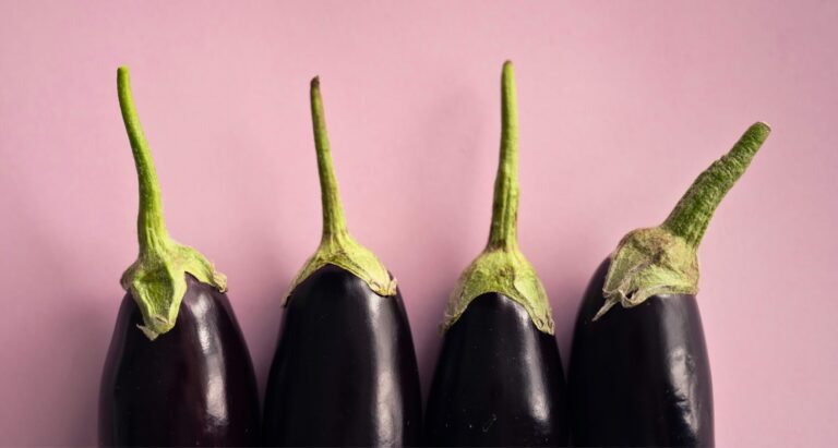 Aubergine
